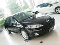 2007�����407�������