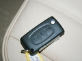 2007�����407SW����