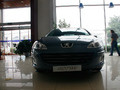 2007�����407SW�������