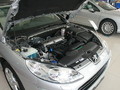 2007�����407SW����