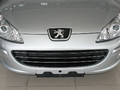 2007�����407SWϸ�����
