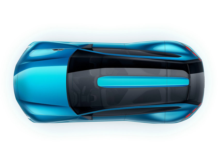 2017(bio)Instinct ܇