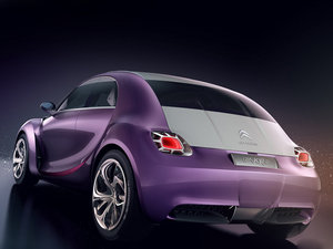 2009�����܇ ���w���^