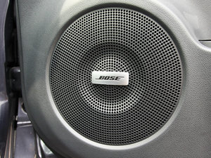 2010BOSE g