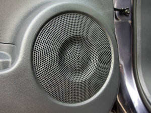 2010BOSE g