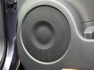 2010BOSE g