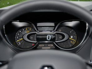 雷諾(進口)2015款雷諾卡繽