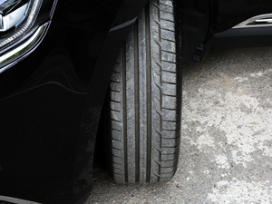 2018款1.8T 自动雅颂巴黎版 其它