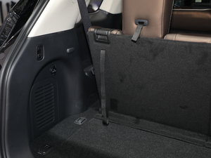 20202.5 S/C Hybrid ȫܰ VI g