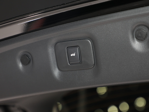 20202.5 S/C Hybrid ȫܰ VI g