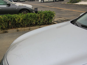 2013G25 Sedan A\Ӱ ^