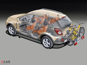 2009����� ����