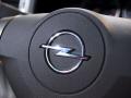 2007�������п���