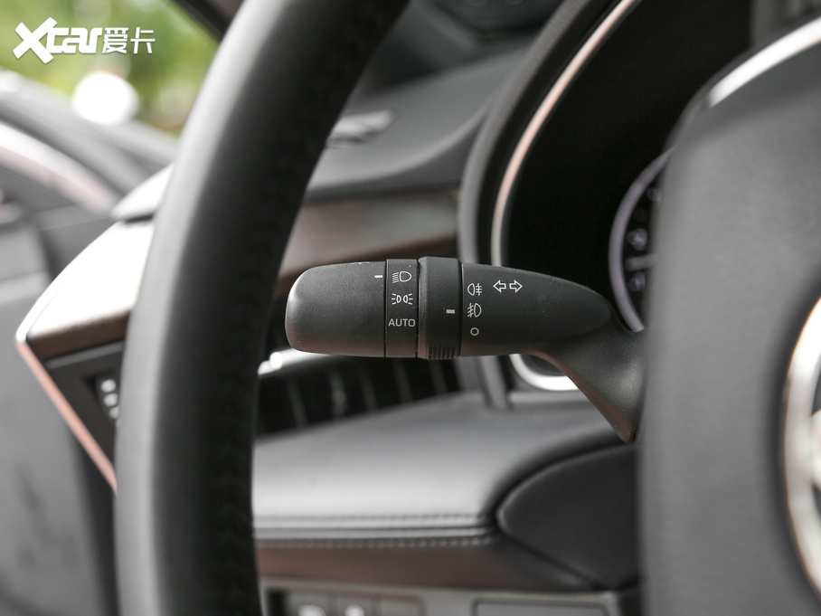 2019 2.0L XLE F VI