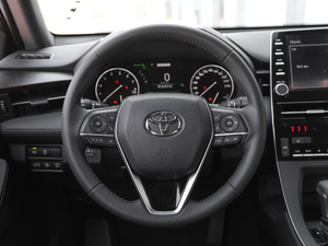 2019款2.5L Touring尊贵版 国V 方向盘