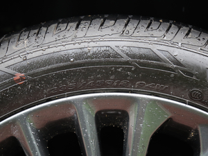 20192.0L XLE F VI ݆̥ߴ