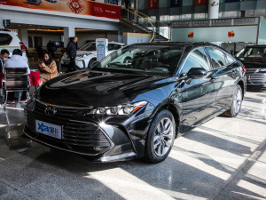 2019款2.0L 进取版 国VI 左前45度