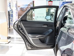 2019款2.0L 进取版 国VI 左后车门