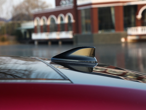 2019p 2.5L LimitedŞ V ^