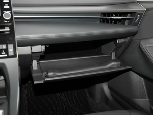 2019p 2.5L LimitedŞ V 