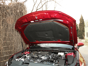 2019p 2.5L LimitedŞ (gu)V 