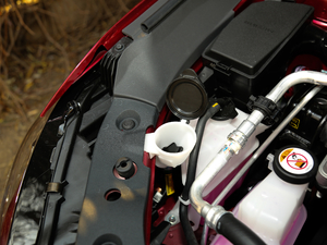 2019p 2.5L LimitedŞ (gu)V 