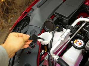 2019p 2.5L LimitedŞ (gu)V 