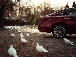 2019p 2.5L LimitedŞ V ^