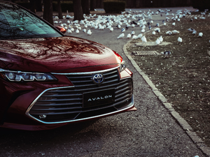 2019p 2.5L LimitedŞ V ^