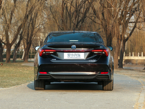2019款双擎 2.5L Limited旗舰版 国V 正后	