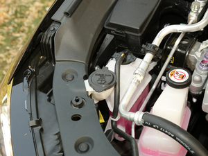 2019p 2.5L LimitedŞ V 