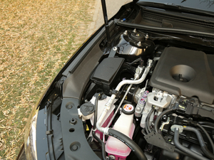 2019p 2.5L LimitedŞ V 