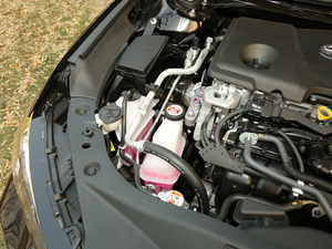 2019p 2.5L LimitedŞ V 