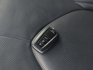 2019p 2.5L LimitedŞ V 