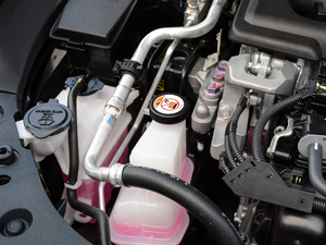 2019p 2.5L LimitedŞ V 