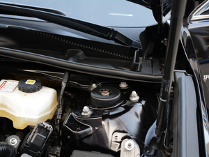 2019p 2.5L LimitedŞ V 