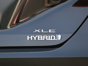 2019p 2.5L XLEF V (x)(ji)^