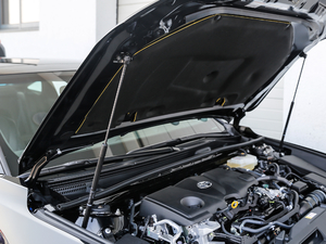 2019款双擎 2.5L XLE尊贵版 国V 其它