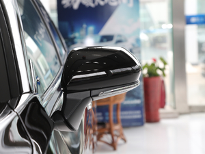 2019款双擎 2.5L 豪华版 国VI 后视镜