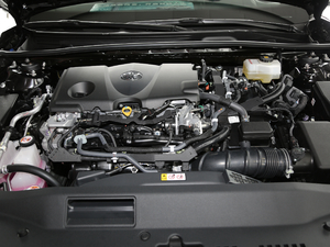 2019款双擎 2.5L 豪华版 国VI 其它