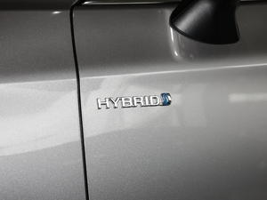 2019p 2.5L XLEF VI ^