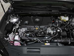 2019款双擎 2.5L XLE尊贵版 国VI 其它