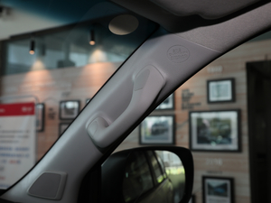 20193.5L Ԅ(dng)TX-L g