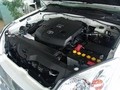 2003������������