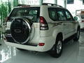 2003���������������