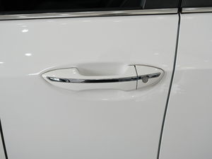 2020款E+ 1.8L 舒适版 主驾门拉手