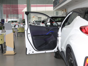 2020款2.0L 奕享版 驾驶位车门
