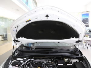 2020款2.0L 奕享版 其它