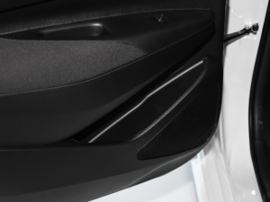 2021TNGA 1.5L CVTh g