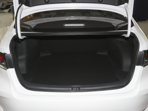 2021TNGA 1.5L CVTӢ g